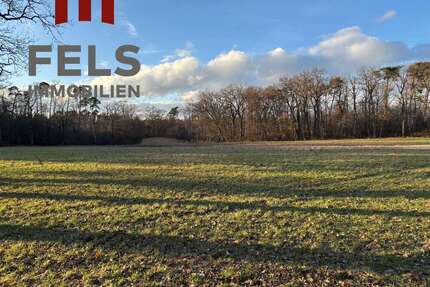 Grundstück in Dreieich 89.000,00 € 28174 m²