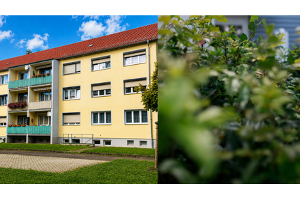Wohnung zum Mieten in Hohenmölsen 400,00 € 58 m²