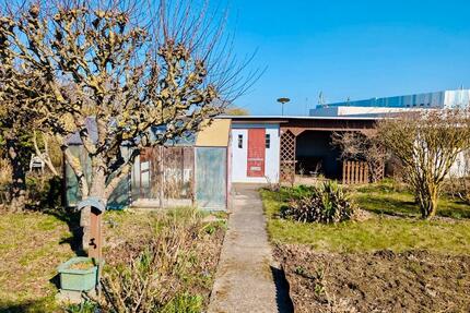 Kleingarten in Wismar KGV Wendorf, nahe Ostsee, ca. 308