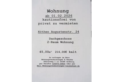 Wohnung 2-Raum DG 45m2 ab sofort zu vermieten - Südliches Anhalt Pfaffendorf