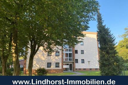 1-Zimmer-Wohnung in ruhiger Lage - Delmenhorst Deichhorst