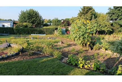 Pachtgarten Kleingarten abzugeben - Jessen (Elster)