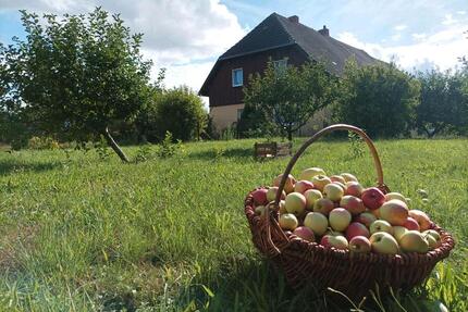 Bauernhof mit Obstgarten und Garagen - Penzlin
