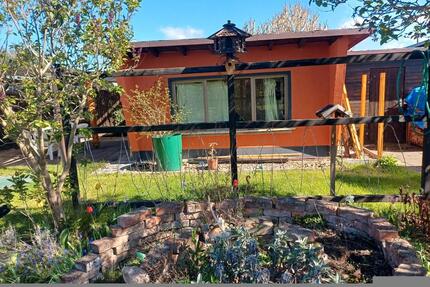 Kleingarten Pachtgarten im KGV an der Seidewitz Pirna