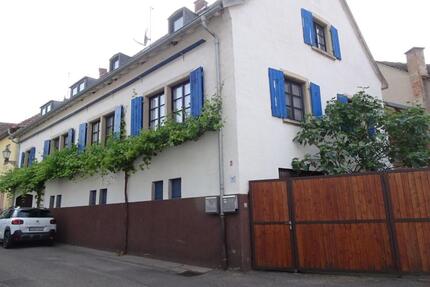 Nähe Landau - Ruhige, großzügige Wohnung im Zweifamilienhaus - Ilbesheim bei Landau in der Pfalz