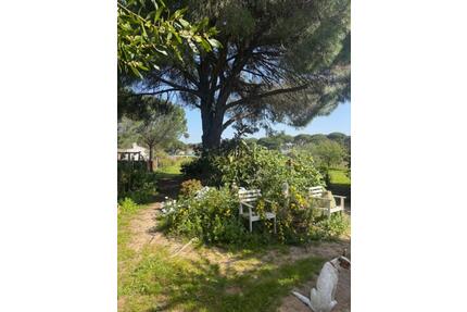 Traumfinca Andalusien mit zwei separaten Wohnhäusern in Bonares - Kirchgellersen