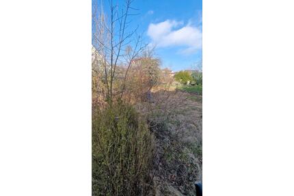 Hofgeismar Kernstadt Baugrundstück mit Einfamilienhaus