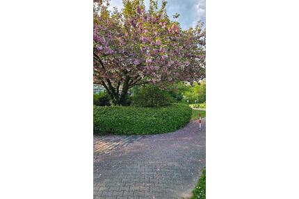 Seenähe & ruhig 3-Zi.-Whg. mit Balkon, Stellplatz, provisionsfrei - Mannheim Feudenheim