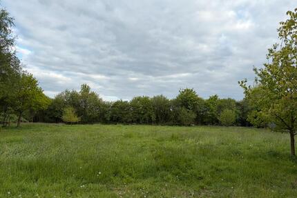 Weide Grünfläche Wiese zur Miete Pacht - Bad Segeberg
