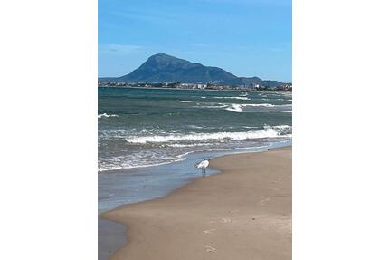 Eine Woche vom 30.07.2026 bis 06.08.2026 Costa Blanca nur 790€ - Gottenheim