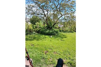 Wohnung in Bad Emstal - 1.100,00&nbsp;EUR Kaltmiete, ca.&nbsp; 80,00&nbsp;m&sup2; in Bad Emstal (PLZ: 34308)