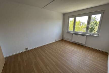 Wohnung zum Mieten in Seeland 318,00 € 56.68 m²