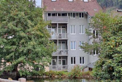 Sanierte große 2,5 Zimmerwohnung am Schwanenweiher in Zell i.W. - Zell im Wiesental