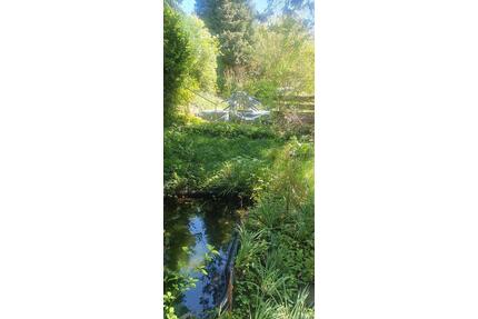 Verpachte naturnahen Garten in Dresden-Coschütz