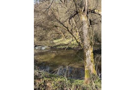 Ein Zimmer Apartment zu vermieten - Hohenstein