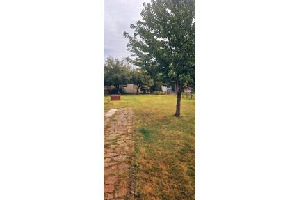 Garten abzugeben Kleingärtnerverein „Flora“ - Salzgitter