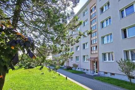 Wohnung zum Mieten in Freiberg 371,00 € 57 m²