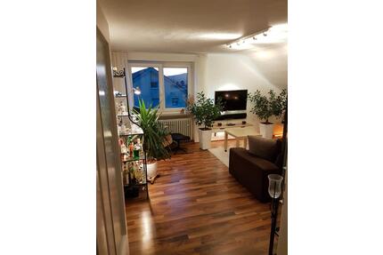 3ZKB ETW DG schön hell u toll renoviert grosser Garten, ohn Balk - Hallstadt