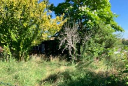 Gartengrundstücke in Greiz OT Cossengrün (Thüringen) - Bieterverfahren