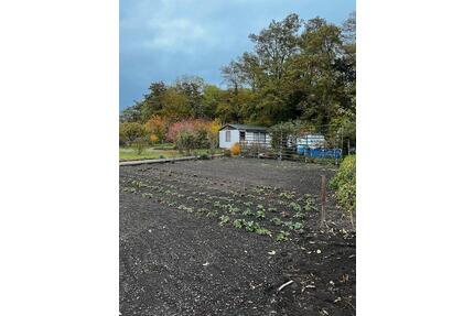 Pachtgarten in Calbe OT Gottesgnaden abzugeben - Calbe (Saale)