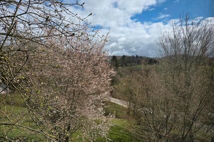 2 Zimmer Terassenwohnung - 750,00&nbsp;EUR Kaltmiete, ca.&nbsp; 60,00&nbsp;m&sup2; in Aalen (PLZ: 73431) Unterkochen