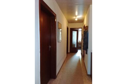 4 Zimmer umgeben von Neckar, Solebad und Mineralquellen. - Stuttgart Bad Cannstatt