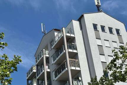Wohnung zum Mieten in Zwickau 375,00 € 56.58 m²