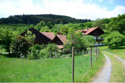 Fast Alleinlage: Idyllisches Anwesen Nähe Wetzelsberg - Wiesenfelden