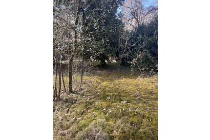 Grundstück zu verkaufen in Schulzendorf 270.000,00 € 1133 m²