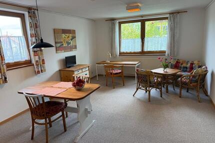 1 Person 2-Zi.-TOP-Apartment, voll möbliert, schön + gemütlich Or - Ober-Olm