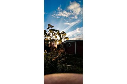 Pachtgarten abzugeben in 08541 - 1.500,00&nbsp;EUR Kaltmiete, ca.&nbsp; 0,00&nbsp;m&sup2; in Oelsnitz (Vogtland) (PLZ: 08606)