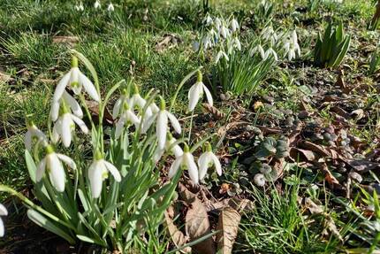 Beliebter Erfurter Randbereich. Häuschen mit Garten - 20 Min. bis Erfurt Altstadt - Neudietendorf