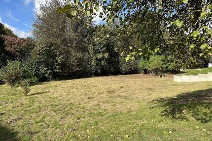 Grundstück zu verkaufen in Dörentrup 149.000,00 € 1572 m²