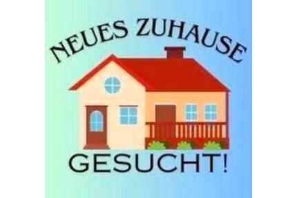 EIGENTUM | Min. 3 Schlafzimmer und Garten in Gronau! - Gronau (Westfahlen)