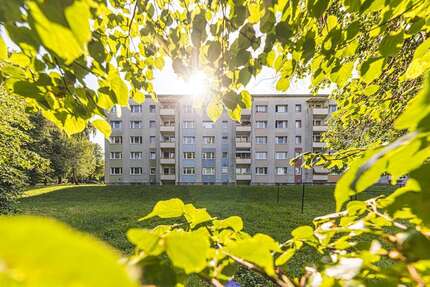 Wohnung zum Mieten in Döbeln 349,00 € 58.26 m²
