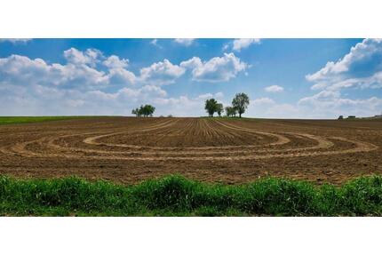 Ackerland in Leidersbach zu verkaufen