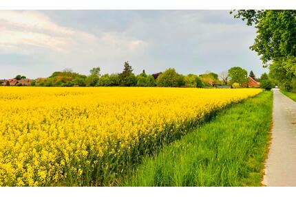 1 ha Ackerland bei Magelsen (LK Ni) – gute Bodengüte, Randlage - Hoya