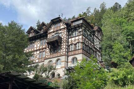 Wohnung zum Kaufen in Calw 285.000,00 € 102.54 m²