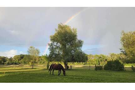 Haus zum Kaufen in Fehrbellin 830.000,00 € 230 m²