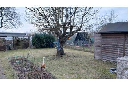 ❗ Garten abzugeben❗ - 3.800,00&nbsp;EUR Kaltmiete, ca.&nbsp; 0,00&nbsp;m&sup2; in Wismar (PLZ: 23966) Altstadt