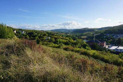 Von Minihaus bis Bauhausstil - auf der Sonnenseite ist vieles möglich - Alsenz
