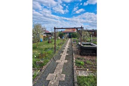 Kleingarten in Heidenau Großsedlitz