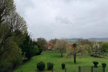 Stadtnah wohnen im Grünen: 3,5 Zimmer, Balkon & großer Garten - Meißner