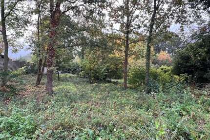 Grundstück zu verkaufen in Hagen 250.000,00 € 1204 m²