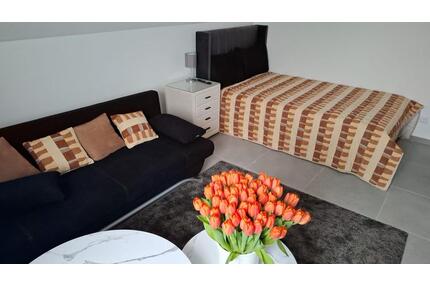 Möbilierte modernisierte 2 Zimmer Wohnung Wolfsburg Mörse - 50 qm