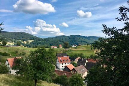 2 Zimmer-Wohnung in Vogelbach. - 900,00&nbsp;EUR Kaltmiete, ca.&nbsp; 78,00&nbsp;m&sup2; in Malsburg-Marzell (PLZ: 79429)