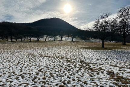 Grundstück mit BURGBLICK Beuren Balzholz Garten Freizeit Wiese