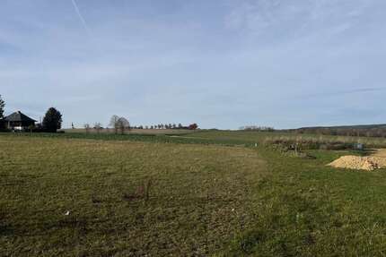 Grundstück zu verkaufen in Elsterberg 75.400,00 € 1004 m²