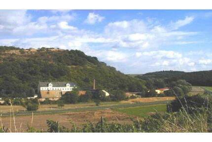 ** WOHNEN auf einem HOFGUT ** - 3-Zi.-Studio-DG-Mietwohnung unweit Kurstadt 55543 Bad Kreuznach, A61 - Hackenheim