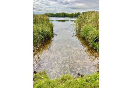 Königs Wusterhausen - Hanglage nah am Zeesener See